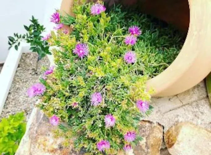 Lesal Rentals, Mar Azul, Villa *